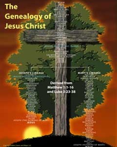 Home - Bible Charts and Maps